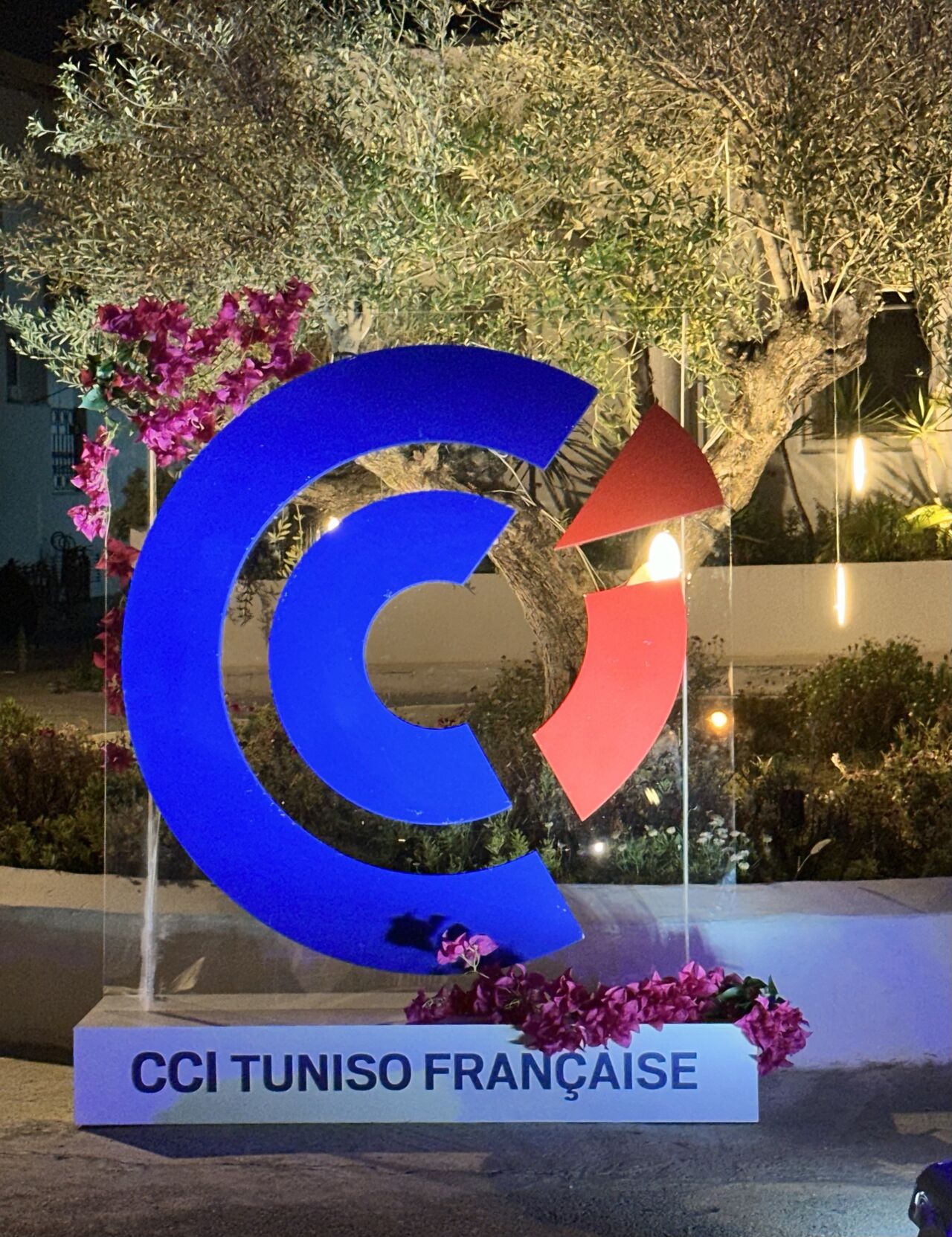 Tunisian-French Chamber of Commerce and Industry Gala Dinner 2025 — Image 1 of 6